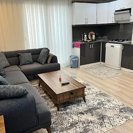Dzenanas Homes Ντιντίμ